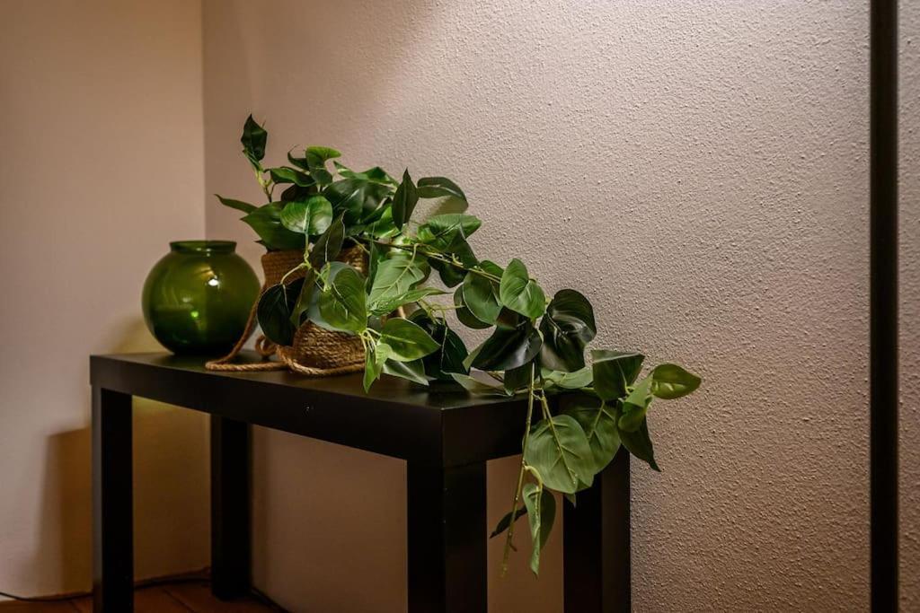 Ab Plus - Via Del Carro 11 Apartment Bologna Bagian luar foto